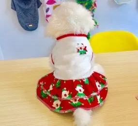 ÁO ĐẦM XÒE ĐỎ