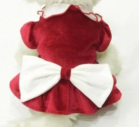 ĐẦM NOEL