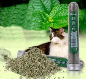 CỎ BẠC HÀ CHO MÈO