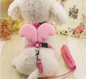 DÂY DẮT YẾM THIÊN THẦN