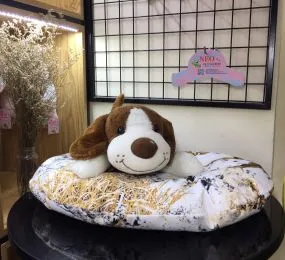 Ổ NỆM BẦU DỤC CHO CHÓ MÈO