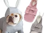 CÁCH LỰA CHỌN SIZE QUẦN ÁO PHÙ HỢP CHO THÚ CƯNG CỦA NHÀ BẠN