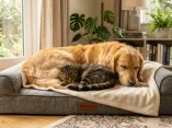 Catalog Nệm Pet 2026: 30+ Mẫu Giường, Đệm, Ổ Nằm Cho Chó Mèo Mọi Giống